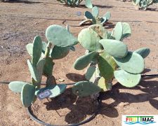 991imageIMG 20241218 125130.1.jpg