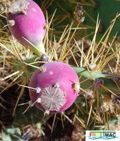 485imageIMG 20250228 113444.111.jpg