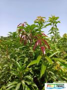 634imageIMG 20240716 120054(1).jpg