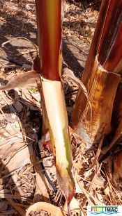 1021imageIMG 20250321 112740.111.jpg