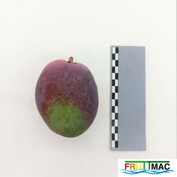 Archivo:105imageIMG 20230718 154157 (2).jpg