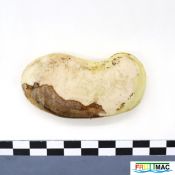 440imageIMG 2214(2).JPG