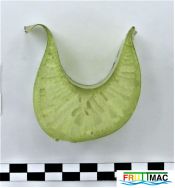 460imageIMG 0043 (2).111.jpg
