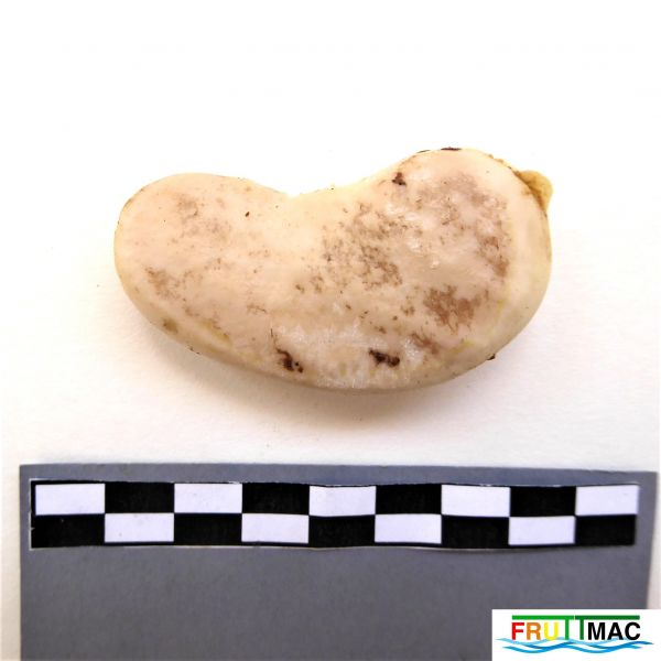 Archivo:60imageP1250897 (2).JPG