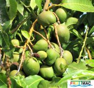 72imageIMG 6024 (2).JPG