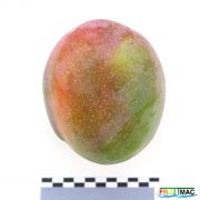 440imageIMG 1855.JPG