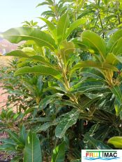 634imageIMG 20240716 120113(1).jpg