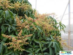 70imageP1240177 (2).jpg