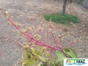 88imageIMG 19700105 153152.jpg