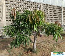 79imageIMG 20240717 092338(1).jpg