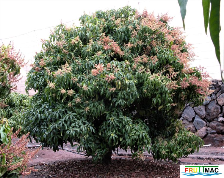 Archivo:105imageOttsIMG 1186 (3).jpg