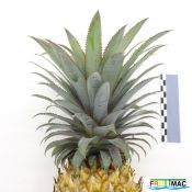 898imageIMG 5788.JPG