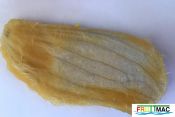 89imageIMG 1682.jpg