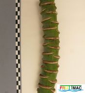 44imageIMG 1040 (2).JPG