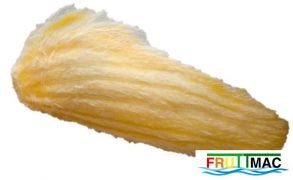 54imageataulfo semrec.jpg