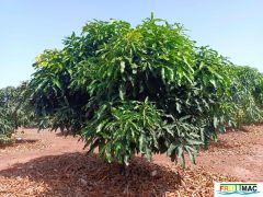 621imageIMG 20240716 114159(1).jpg