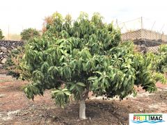 628imageIMG 3928 (2).JPG