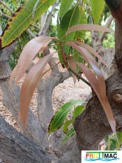 105imageIMG 0508.JPG