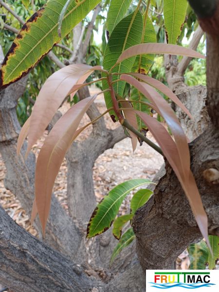 Archivo:105imageIMG 0508.JPG