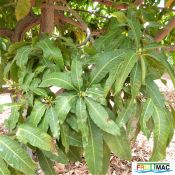 68imageP1240140 (2).JPG