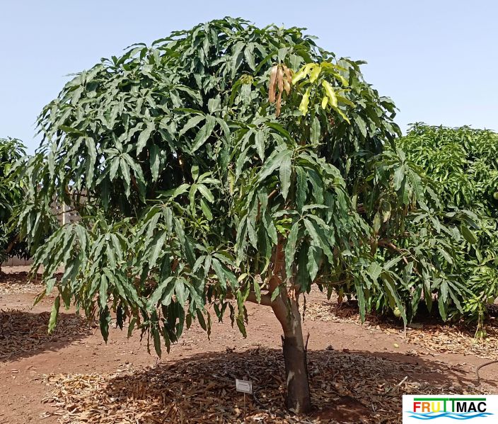 Archivo:625imageIMG 20240716 114721(1).jpg