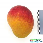 878imageIMG 20230807 124559 (2).jpg