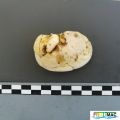 Miniatura de la versión del 10:56 28 may 2025