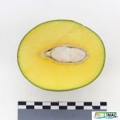 72imageIMG 6793(1).JPG