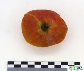 1060imageIMG 9062.jpg