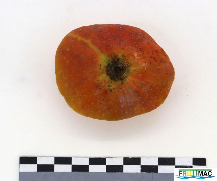 Archivo:1060imageIMG 9062.jpg