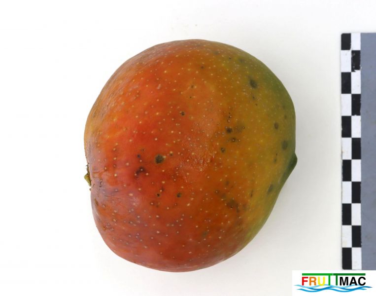 Archivo:1060imageIMG 9058.jpg