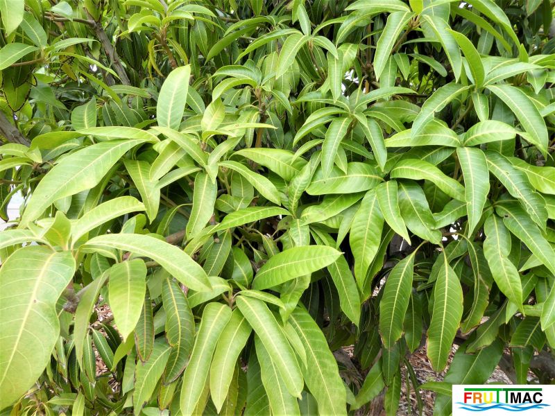 Archivo:440imageP1230289 (4).jpg