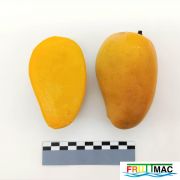 54imageIMG 20230809 094053 (2).jpg