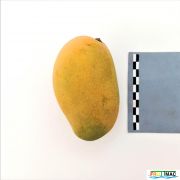 93imageIMG 20230704 112716.jpg