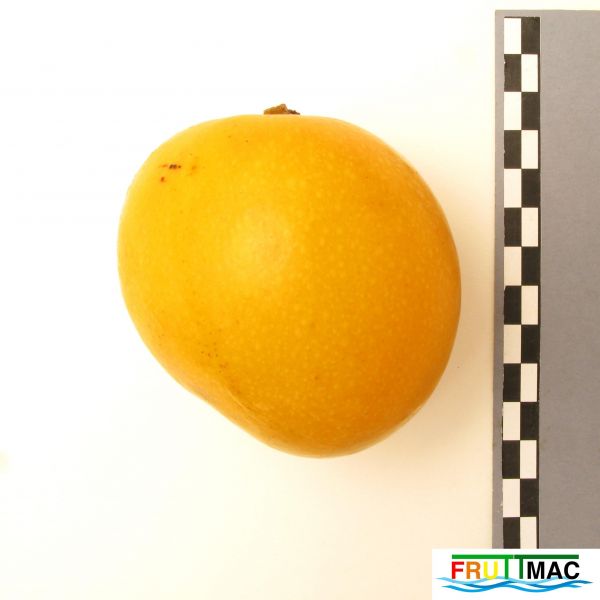 Archivo:72imageIMG 0677 (2).JPG