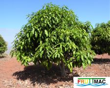 68imageP1140380 (2).JPG