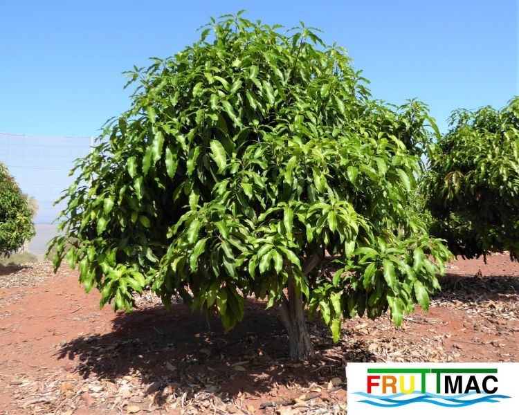 Archivo:68imageP1140380 (2).JPG