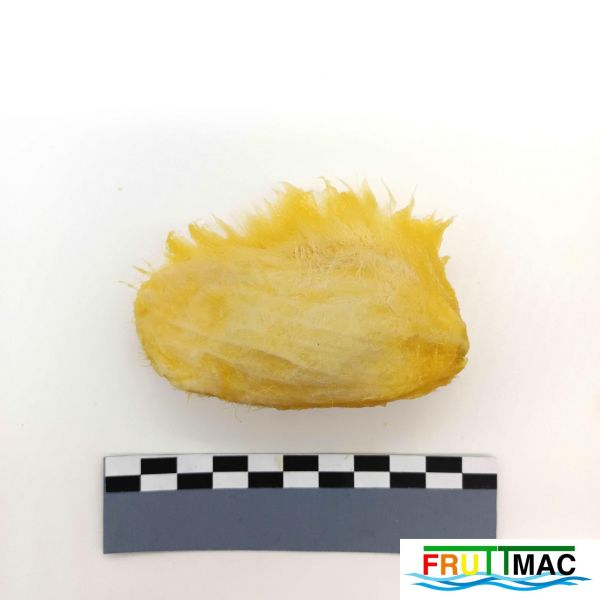 Archivo:105imageIMG 20230811 112951(2).jpg