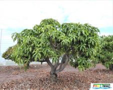 112imageP1230278 (2).JPG