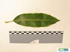 627imageIMG 0790 (2).JPG