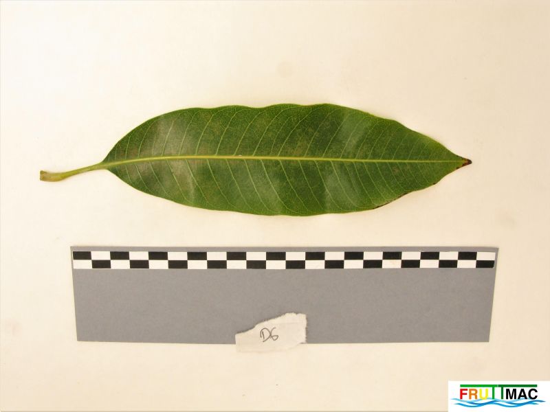 Archivo:627imageIMG 0790 (2).JPG