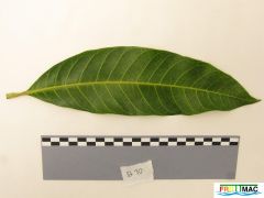 89imageIMG 0550 (3).JPG