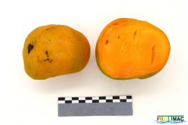 1052imageIMG 9068.jpg