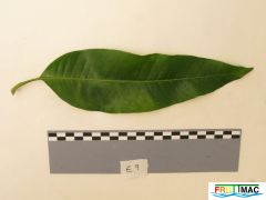 59imageIMG 0627.JPG