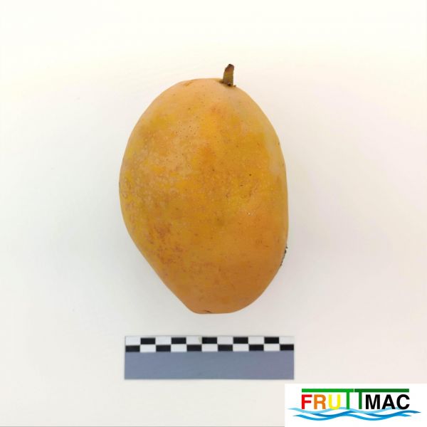 Archivo:628imageIMG 20230807 115405 (2).jpg