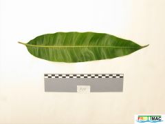 105imageIMG 0512 (3).JPG