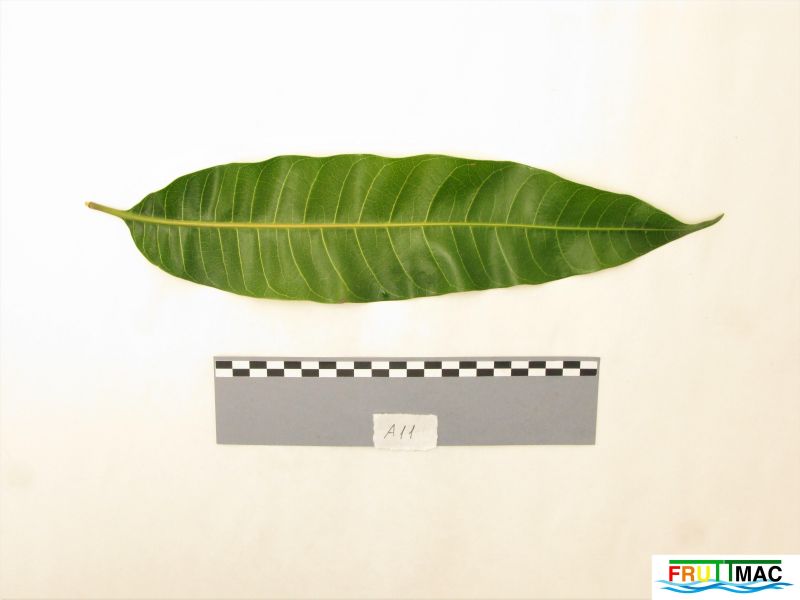 Archivo:105imageIMG 0512 (3).JPG