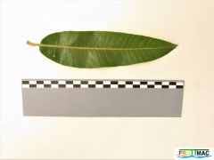 628imageIMG 0775 (3).JPG