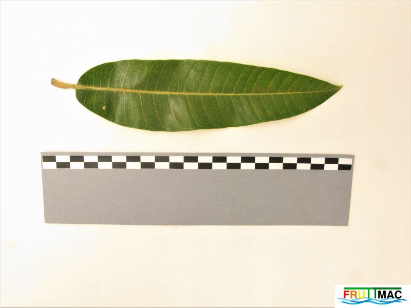 Archivo:628imageIMG 0775 (3).JPG