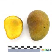 66imageIMG 7972.1.JPG